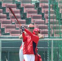 　打撃練習をする矢野（撮影・市尻達拡）