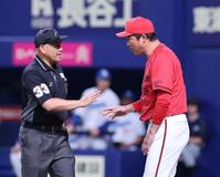 　７回、羽月の一塁けん制タッチアウトのリクエスト後、審判団に確認をする新井監督（撮影・市尻達拡）