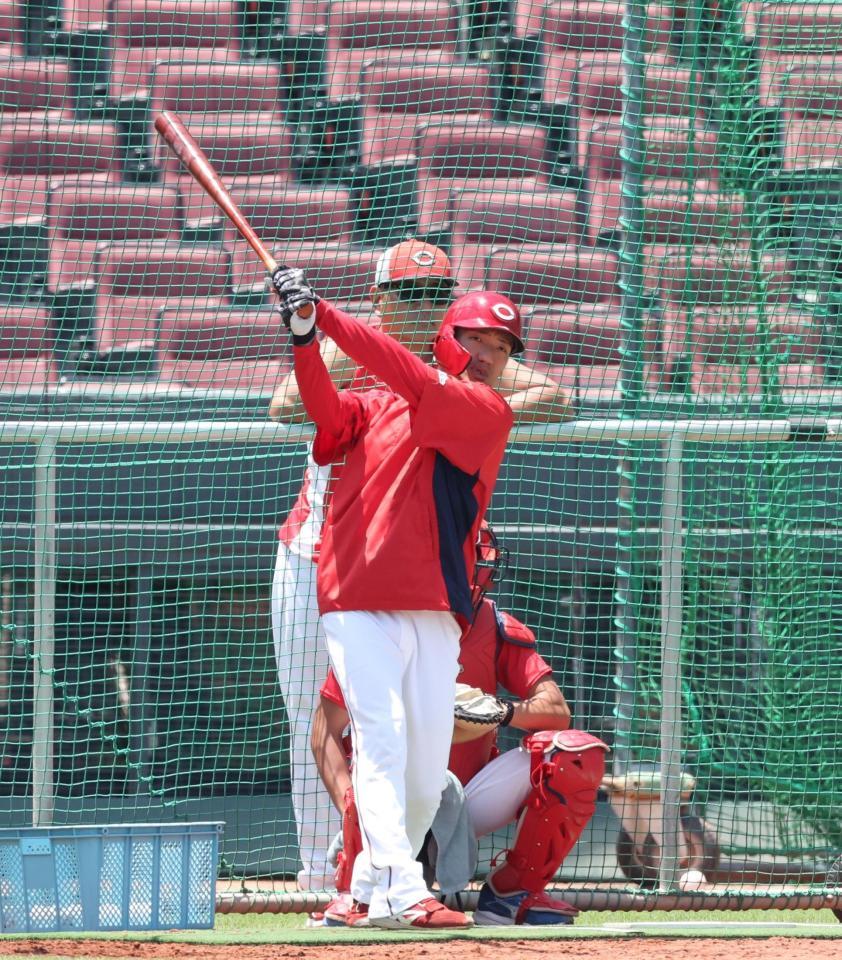 　打撃練習をする矢野（撮影・市尻達拡）