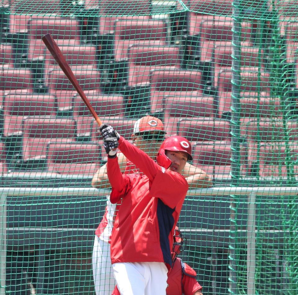 　打撃練習をする矢野（撮影・市尻達拡）