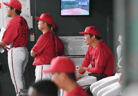 　ベンチで戦況を見守る新井監督（後方右）＝撮影・開出牧