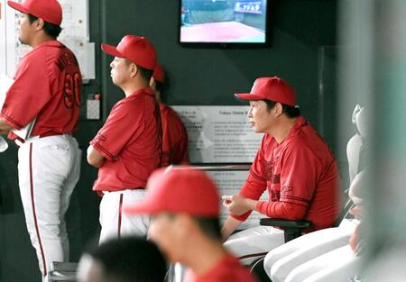 　ベンチで戦況を見守る新井監督（右）＝撮影・開出牧