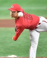 　力投する佐藤柳（撮影・開出牧）