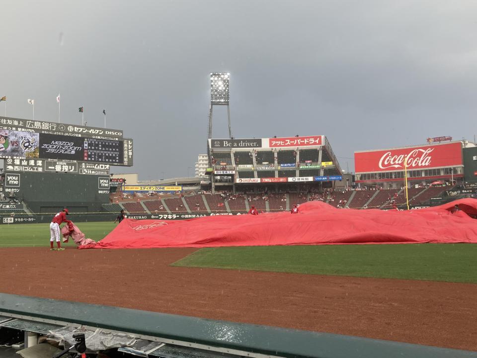 　突然の雨でシートを被せる（撮影・田中太一）