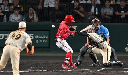 　７回、死球を受ける矢野（撮影・飯室逸平）