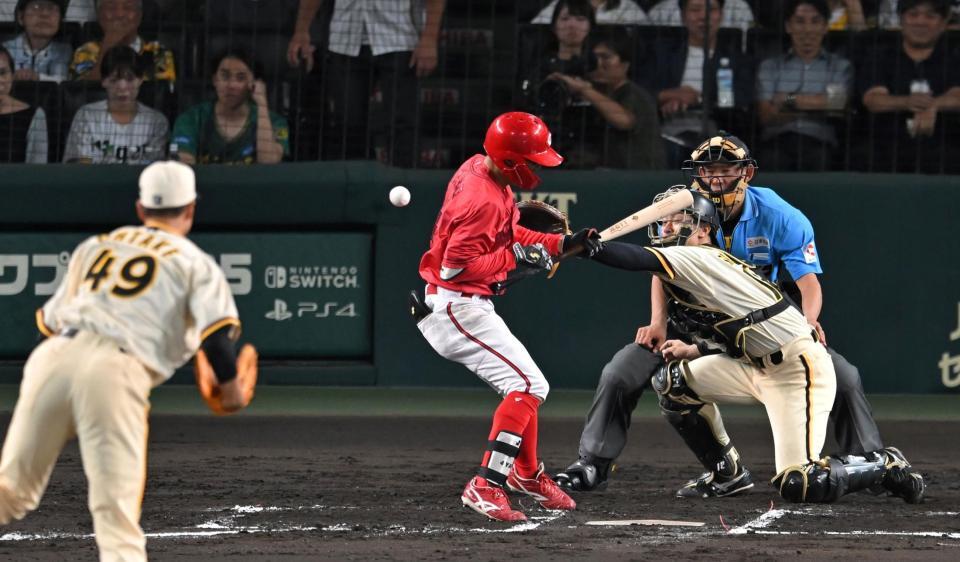 　７回、死球を受ける矢野（撮影・飯室逸平）