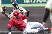 　１回、モンテロの適時打で生還する末包（撮影・北村雅宏）