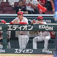 　７回、打席を見つめる新井監督（撮影・市尻達拡）