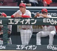 　７回、打席を見つめる新井監督（撮影・市尻達拡）