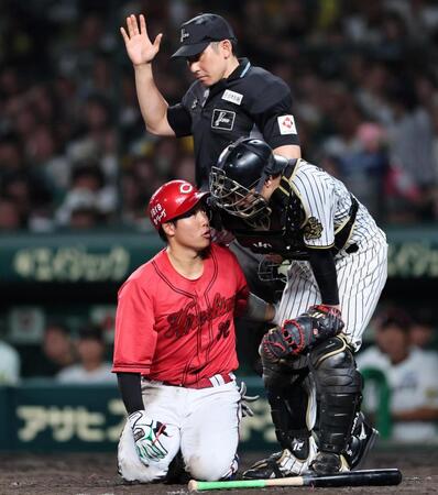 　５回、頭部に死球を受けた石原は坂本に心配される（撮影・田中太一）