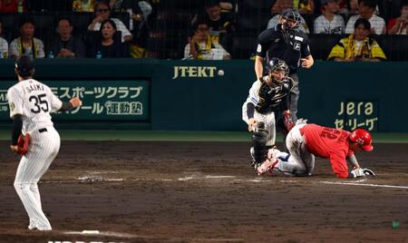 　５回、石原は死球を受ける。投手・才木（撮影・山口登）