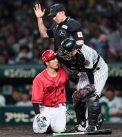 　５回、頭部に死球を受けた石原は坂本に心配される（撮影・田中太一）