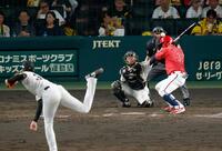 　５回、頭部に死球を受ける石原。才木は危険球退場となる。捕手坂本