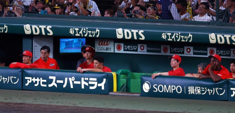 　胴上げを見つめる広島ナイン