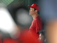 　７回、戦況を見守る新井監督（撮影・石井剣太郎）