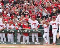 　６回、小園の２点タイムリーに、喜びを爆発させる新井監督ら、広島ベンチ（撮影・市尻達拡）