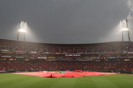 【写真】決戦前に集中モード？の新井監督にそっと傘を差し出すスラィリー　シュールな光景