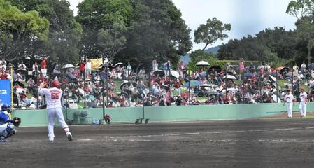 　今季、由宇での最終戦に多くの鯉党が駆けつける