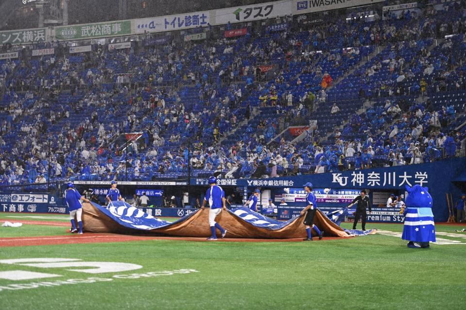 　５回終了後に雨で試合が中断となり、グラウンドにシートを広げる球場スタッフ（撮影・開出牧）
