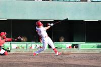 紅白戦で力強いスイングを見せる佐々木（撮影・畠山賢大）