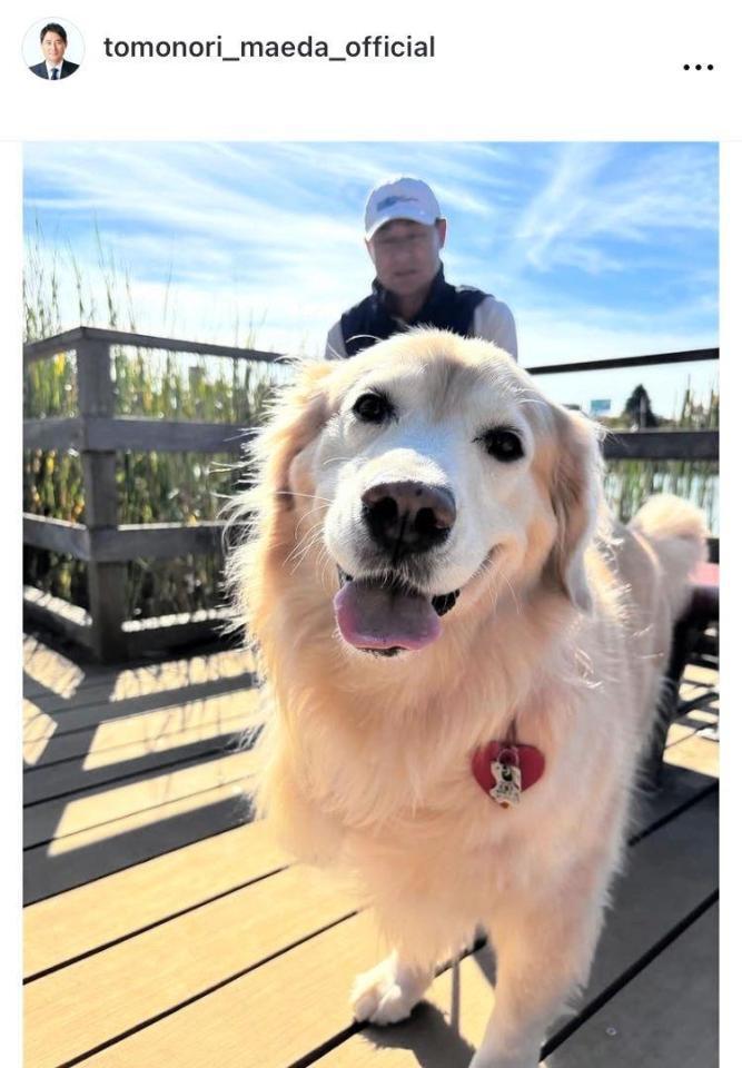 前田智徳氏のインスタグラム＠ｔｏｍｏｎｏｒｉ＿ｍａｅｄａ＿ｏｆｆｉｃｉａｌから