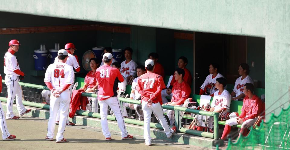 　紅白戦を終え、コーチ陣の話を聞く広島ナイン（撮影・市尻達拡）