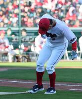 　ソフトボール対決でバウアーに蹴られたバットを使い、打席後に優しくつま先でタッチして笑いを誘う小園（撮影・市尻達拡）