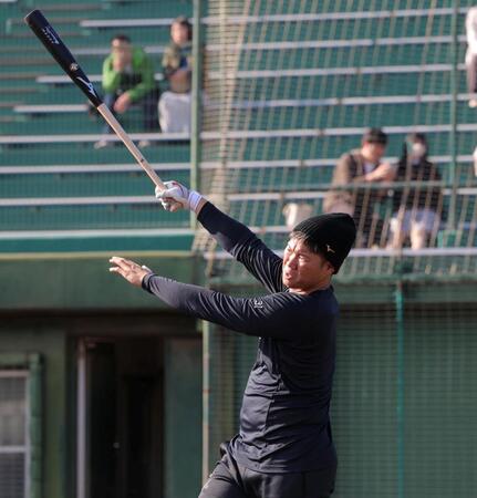 打撃練習で快音を響かせる坂倉（撮影・北村雅宏）