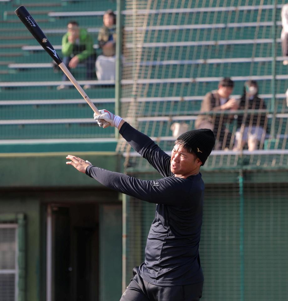 打撃練習で快音を響かせる坂倉（撮影・北村雅宏）