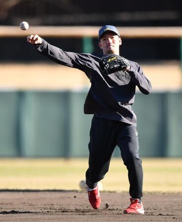 　自主トレでノックを受ける矢野（撮影・開出牧）