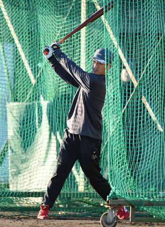 　自主トレでフリー打撃を行う矢野（撮影・開出牧）