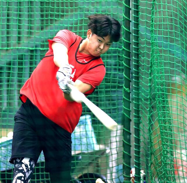 打撃練習で快音を響かせる平川（撮影・北村雅宏）