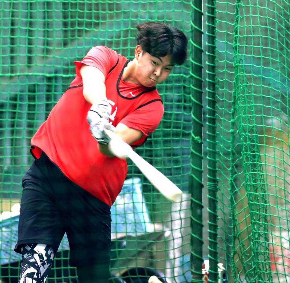 打撃練習で快音を響かせる平川（撮影・北村雅宏）