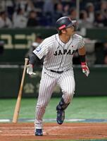 日本代表の鈴木誠也　