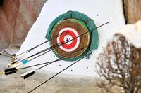 赤木が射抜いた的