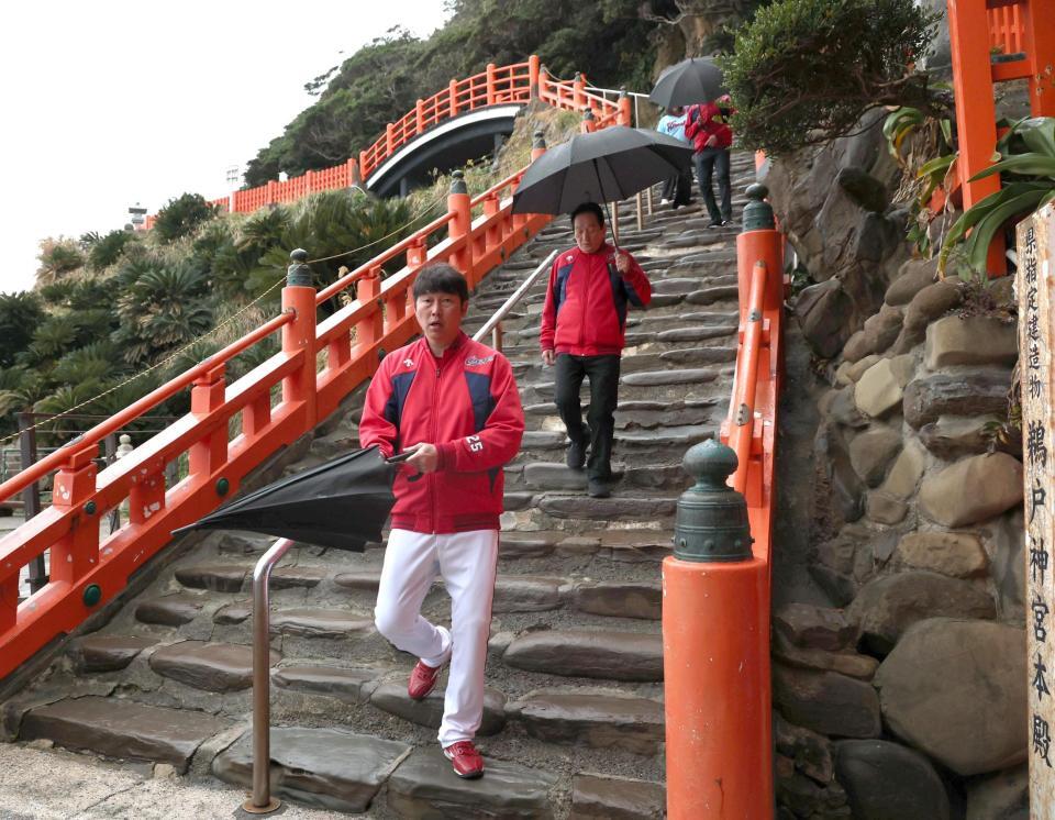 鵜戸神宮に参拝する広島・新井貴浩監督（手前）＝撮影・北村雅宏