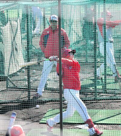 ドラフト６位・西川の打撃に熱視線を注ぐ新井監督（撮影・畠山賢大）