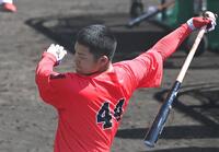 打撃練習に汗を流す林（撮影・飯室逸平）