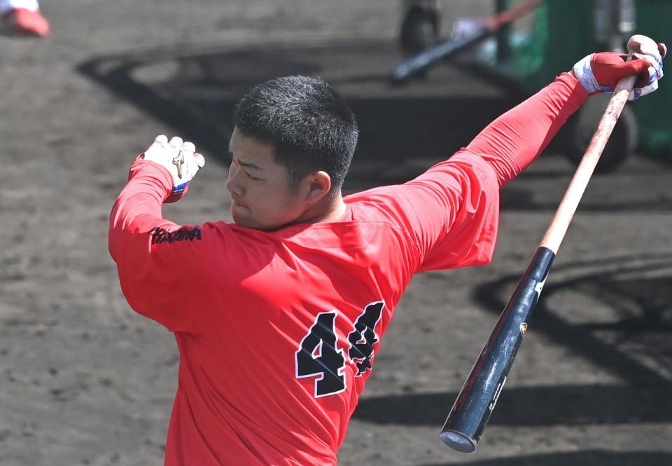 打撃練習に汗を流す林（撮影・飯室逸平）