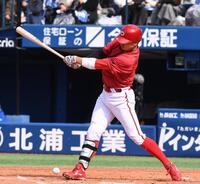 ３回、自打球を当てた平川（撮影・園田高夫）