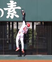 ５回、ディベイニーの打球をジャンプして好捕するファビアン（撮影・北村雅宏）