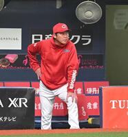 ベンチからグラウンドを見つめる新井監督（撮影・飯室逸平）