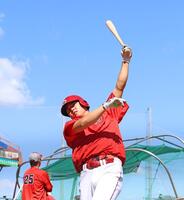 打撃練習する平川蓮（撮影・北村雅宏）