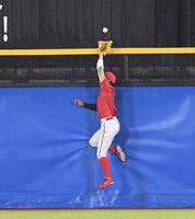 ４回、オスナの中越えソロに飛びつきフェンスに激突する平川（撮影・開出牧）