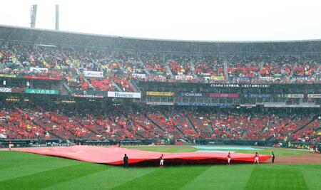 雨が強くなり試合が中断し、グラウンドにシートが敷かれる（撮影・山口登）