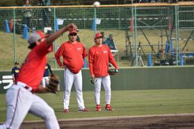 広島・小園が今季初のベンチスタート　菊池が２年ぶりに３番　遊撃はドラ３・勝田　チームは１１季ぶりの豊橋で今季ビジター初勝利目指す　