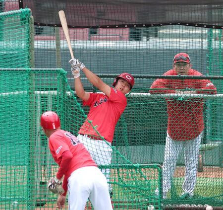 新井監督（右）の見守る中、打撃練習する平川（撮影・北村雅宏）　
