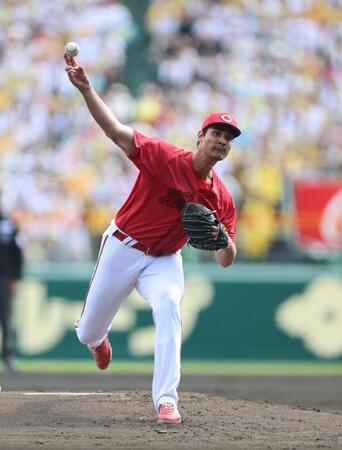 先発し力投するターノック（撮影・山口登）