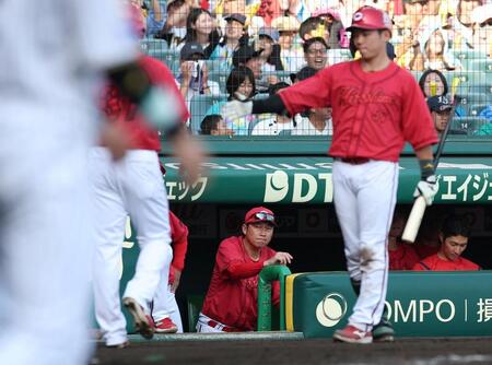 阪神に敗れ、グラウンドを見つめる新井監督（中央）＝撮影・西田忠信