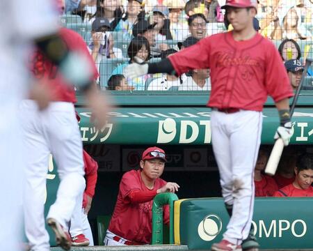 　阪神に敗れ、グラウンドを見つめる新井監督（中央）＝撮影・西田忠信